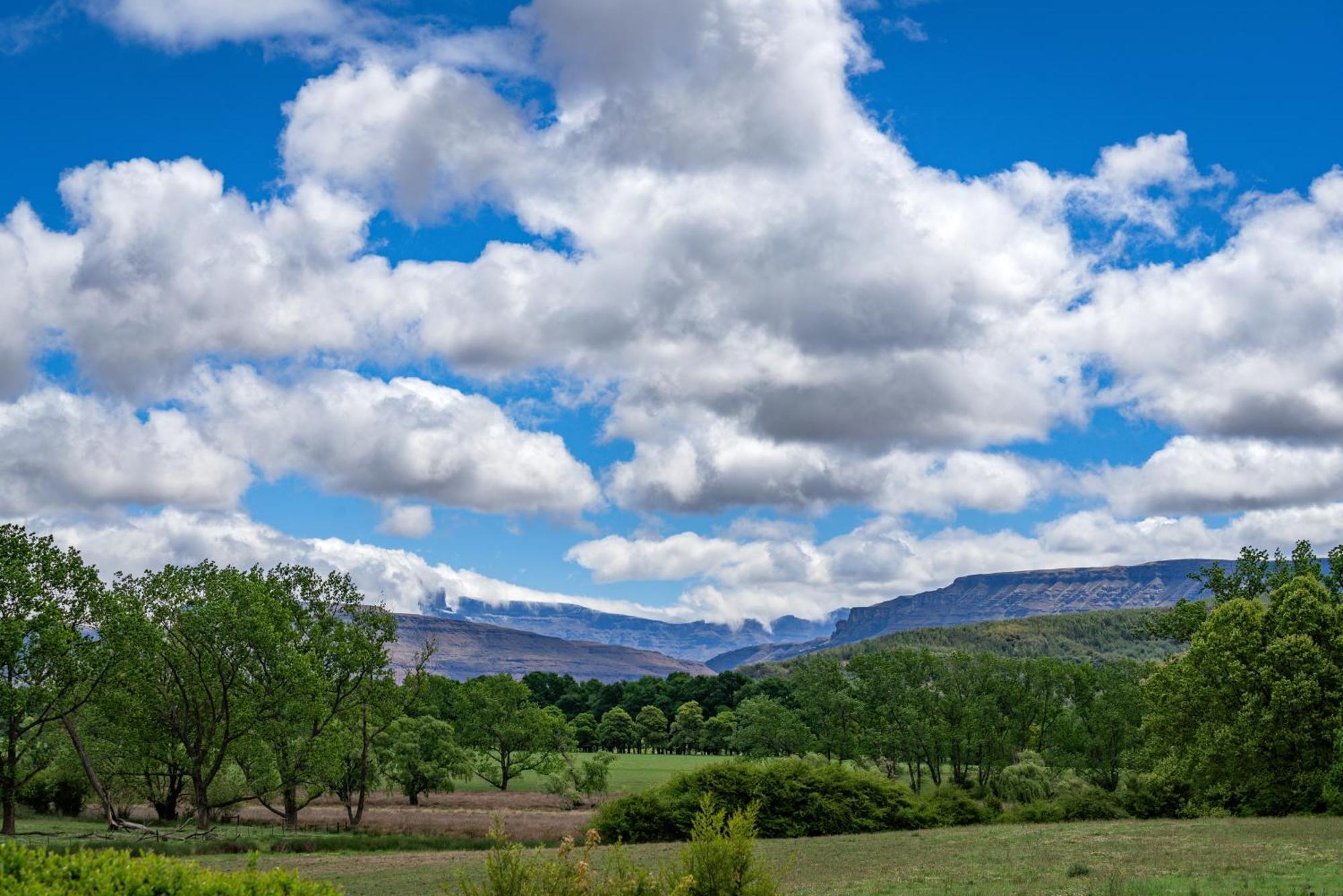 Molweni - Kamberg Valley B&B Rev Estates Zewnętrze zdjęcie